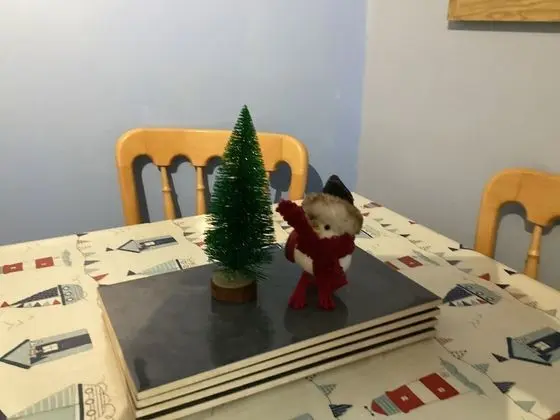 Apart Daire, Birden Çok Yatak
