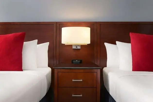 Deluxe Oda, 2 Çift Kişilik Yatak, Sigara İçilmez (Shower Only)