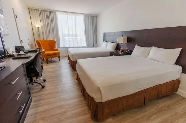 Deluxe Oda, 2 Çift Kişilik Yatak, Sigara İçilmez (Shower Only)