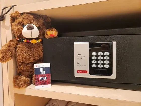 Superior Tek Büyük Yataklı Oda