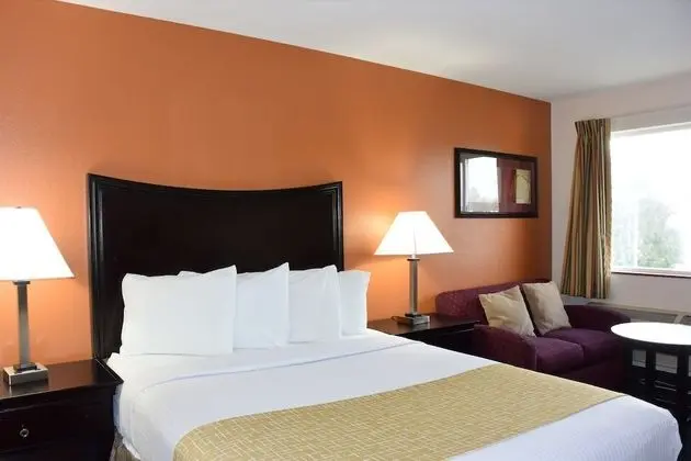 Oda, 1 Büyük (Queen) Boy Yatak, Sigara İçilmez (Pet-Friendly)