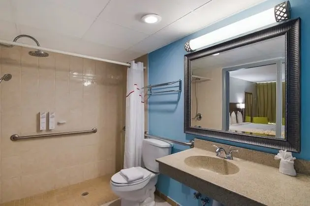 Süit, 1 En Büyük (King) Boy Yatak, Engellilere Uygun, Sigara İçilmez (Roll-In Shower)