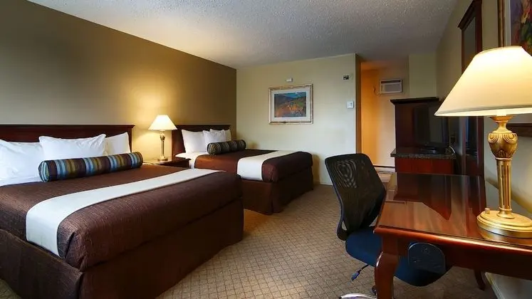Deluxe Oda, 2 Büyük (Queen) Boy Yatak, Sigara İçilmez (Pet Friendly)