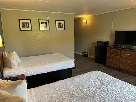 Deluxe Oda, 2 Çift Kişilik Yatak, Sigara İçilmez