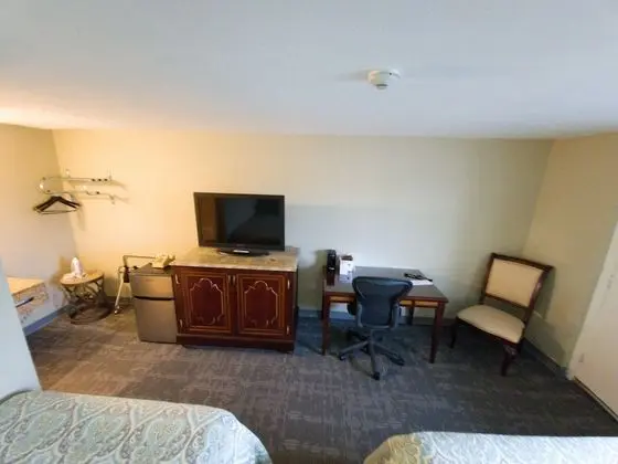 Deluxe Dört Kişilik Oda (Dog Friendly, 1st Floor Only)
