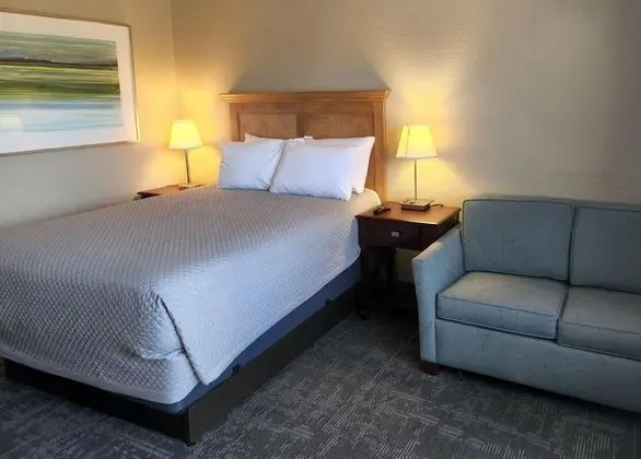 Room- Dog Friendly Queen Deluxe Room w/Sleeper