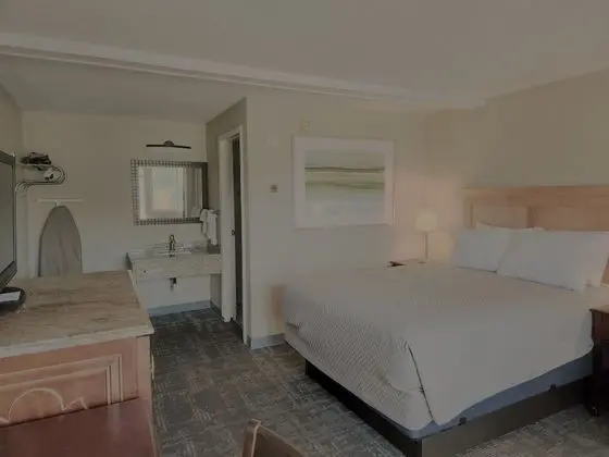 Room- Dog Friendly Queen Deluxe Room w/Sleeper