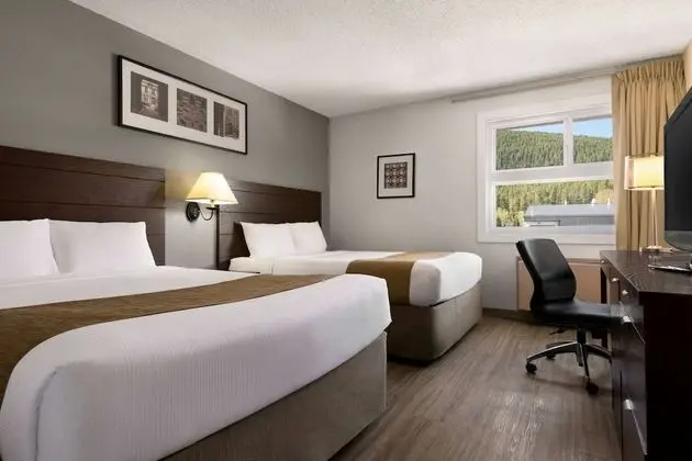 Oda, 2 Büyük (Queen) Boy Yatak, Sigara İçilmez (Pet-Friendly)