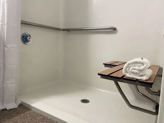 Oda, 1 En Büyük (King) Boy Yatak, Engellilere Uygun, Sigara İçilmez (Mobility/Roll-In Shower)