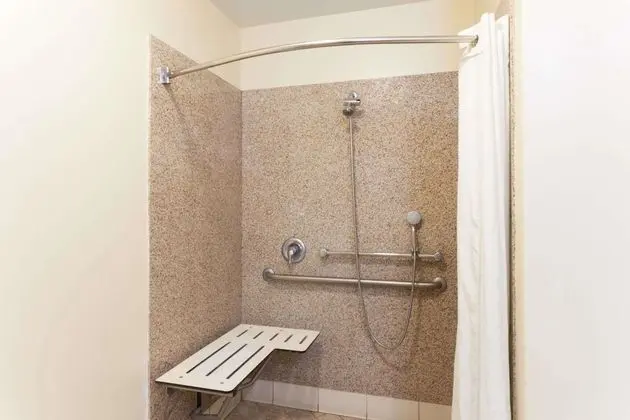 Oda, 1 Büyük (Queen) Boy Yatak, Sigara İçilmez (Mobility/Hearing, roll-in shower)
