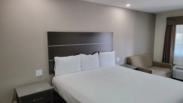 Oda, 1 En Büyük (King) Boy Yatak, Engellilere Uygun, Sigara İçilmez (Mobility,roll-in shower)
