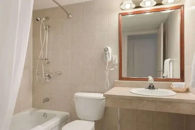 Premium Süit, 1 En Büyük (King) Boy Yatak, Sigara İçilmez