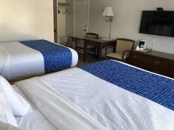 Tek Büyük Yataklı Oda, 2 Çift Kişilik Yatak