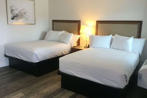 Stüdyo Süit, 2 Çift Kişilik Yatak, Sigara İçilmez