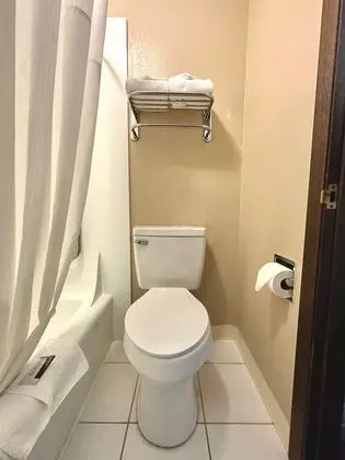 Stüdyo Süit, 1 En Büyük (King) Boy Yatak, Sigara İçilmez