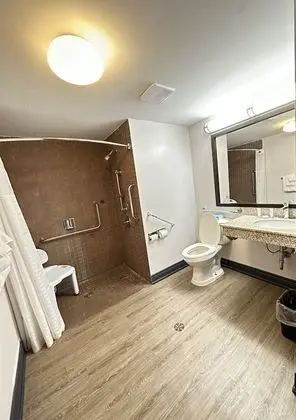 Oda, 1 En Büyük (King) Boy Yatak, Engellilere Uygun, Sigara İçilmez (Roll-in Shower)