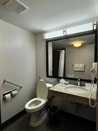 Oda, 1 En Büyük (King) Boy Yatak, Engellilere Uygun, Sigara İçilmez (Roll-in Shower)