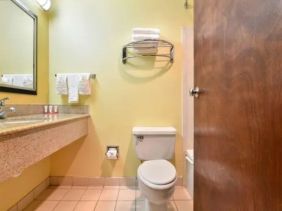 Oda, 1 En Büyük (King) Boy Yatak, Engellilere Uygun, Sigara İçilmez (Hearing, Roll-In Shower)