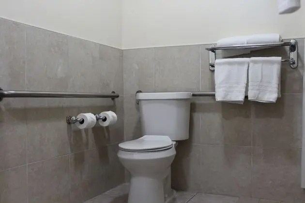 Oda, 1 En Büyük (King) Boy Yatak, Engellilere Uygun, Sigara İçilmez (Mobility Accessible)
