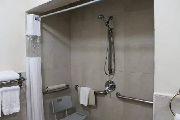 Oda, 1 En Büyük (King) Boy Yatak, Engellilere Uygun, Sigara İçilmez (Mobility Accessible)