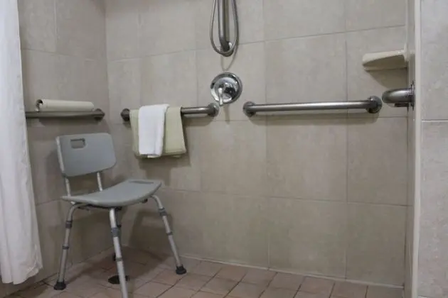 Oda, 1 En Büyük (King) Boy Yatak, Engellilere Uygun, Sigara İçilmez (Mobility Accessible)