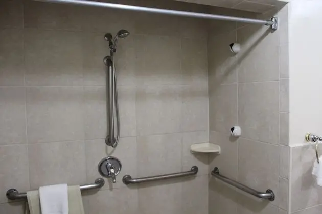 Oda, 1 En Büyük (King) Boy Yatak, Engellilere Uygun, Sigara İçilmez (Mobility Accessible)