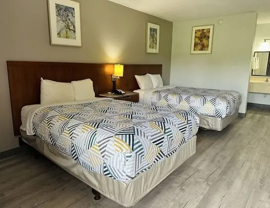 Deluxe Oda, 2 Büyük (Queen) Boy Yatak, Sigara İçilebilir, Buzdolabı ve Mikrodalga