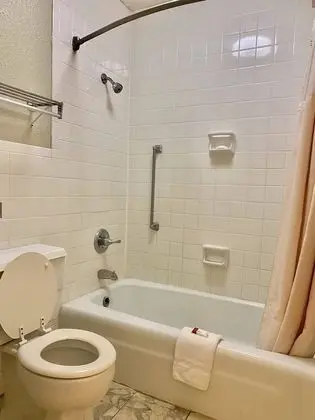 Standard Oda, 1 En Büyük (King) Boy Yatak, Sigara İçilebilir