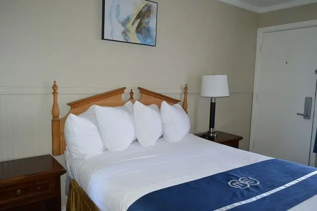 Comfy Double Room