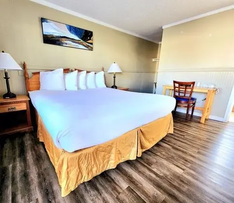 Cozy King Room