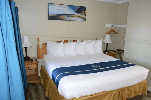 Cozy King Room