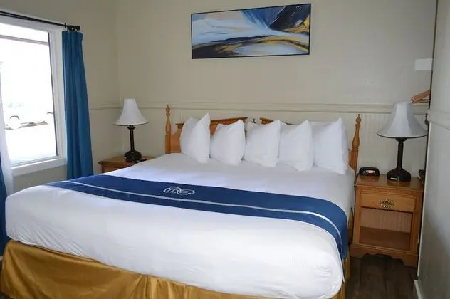 Cozy King Room