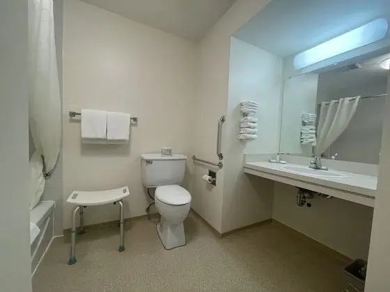 Oda, 1 Büyük (Queen) Boy Yatak, Engellilere Uygun, Sigara İçilmez (Mob,Tub w/Grab Bars)