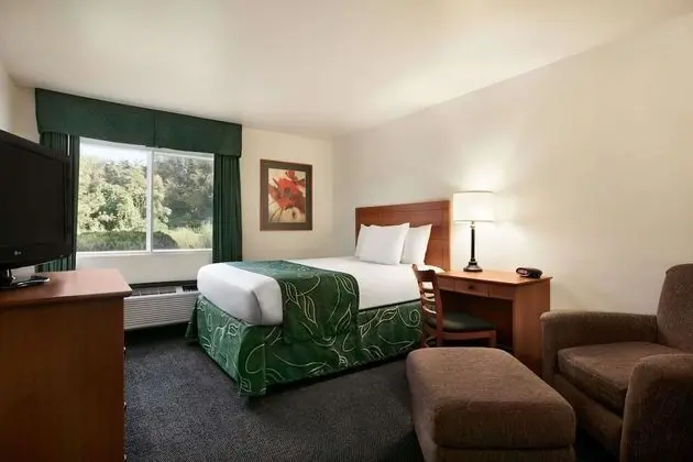 Oda, 1 Büyük (Queen) Boy Yatak, Sigara İçilmez