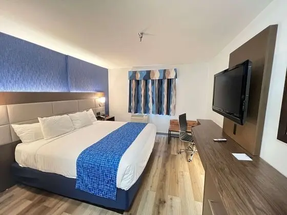 Standard Oda, 1 En Büyük (King) Boy Yatak, Sigara İçilmez, Buzdolabı ve Mikrodalga