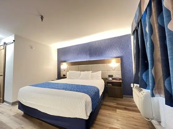 Standard Oda, 1 En Büyük (King) Boy Yatak, Sigara İçilmez, Buzdolabı ve Mikrodalga