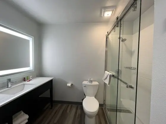 Standard Oda, 1 En Büyük (King) Boy Yatak, Sigara İçilmez, Buzdolabı ve Mikrodalga