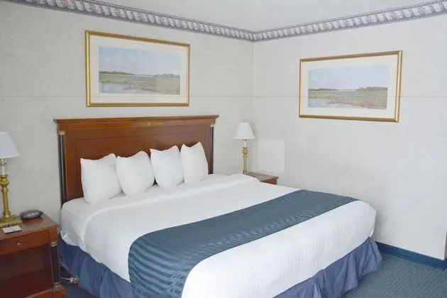 Oda, 1 En Büyük (King) Boy Yatak, Sigara İçilmez (Pet-Friendly)