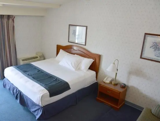 Oda, 1 En Büyük (King) Boy Yatak, Sigara İçilmez (Pet-Friendly)