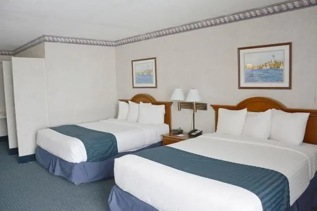 Oda, 2 Büyük (Queen) Boy Yatak, Sigara İçilmez (Pet-Friendly)