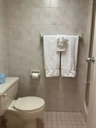 Standard Oda, 1 Büyük (Queen) Boy Yatak