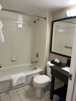 Deluxe Oda, 2 Çift Kişilik Yatak, Sigara İçilmez