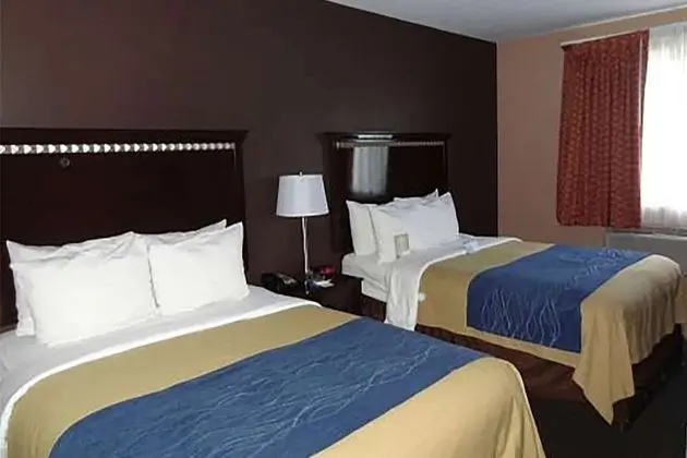 Deluxe Oda, 2 Çift Kişilik Yatak, Sigara İçilmez