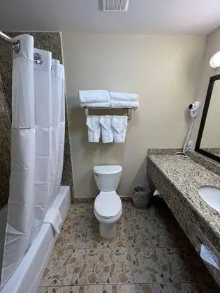 Deluxe Oda, 2 Çift Kişilik Yatak, Sigara İçilmez