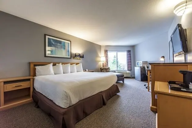 Oda, 1 En Büyük (King) Boy Yatak, Sigara İçilmez (Pet-Friendly)