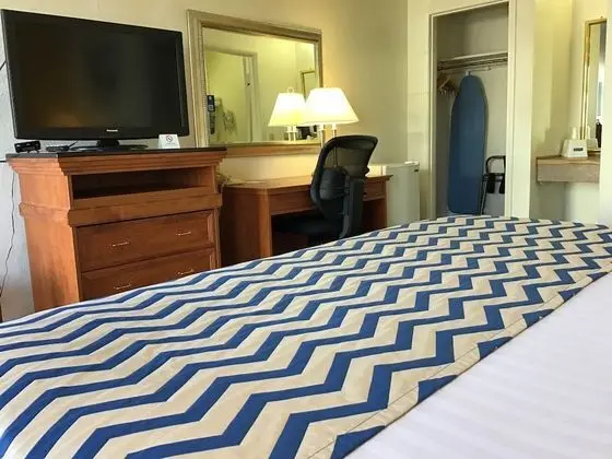 Oda, 1 En Büyük (King) Boy Yatak, Sigara İçilmez, Buzdolabı ve Mikrodalga