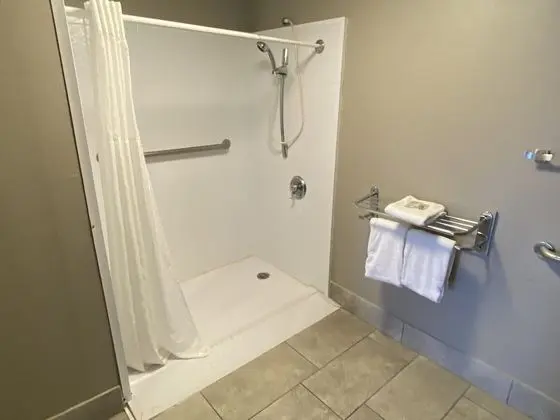 Deluxe Oda, 1 En Büyük (King) Boy Yatak, Engellilere Uygun, Sigara İçilmez (Roll-in Shower)