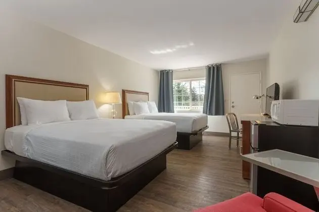 Standard Dört Kişilik Oda