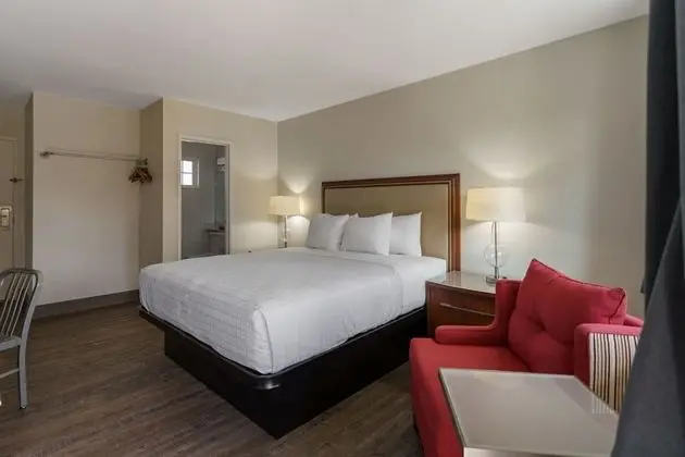 Standard Tek Büyük Yataklı Oda