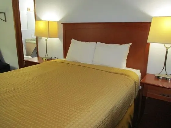 Oda, 1 Büyük (Queen) Boy Yatak, Sigara İçilmez